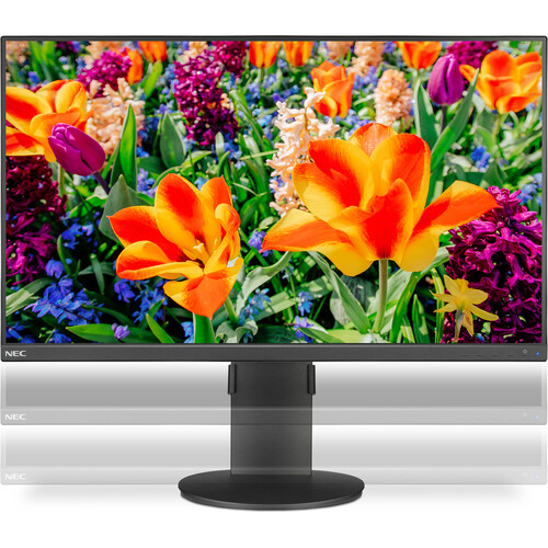 NEC MultiSync E243F-BK 23.8