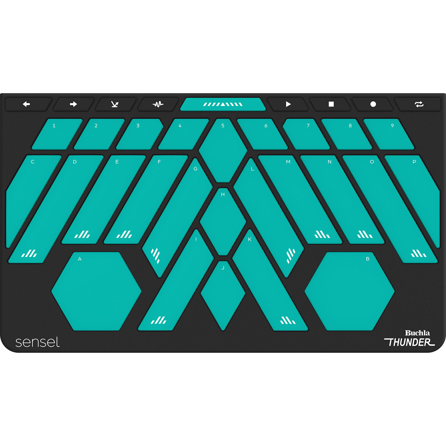 Sensel Morph Buchla Thunder Overlay