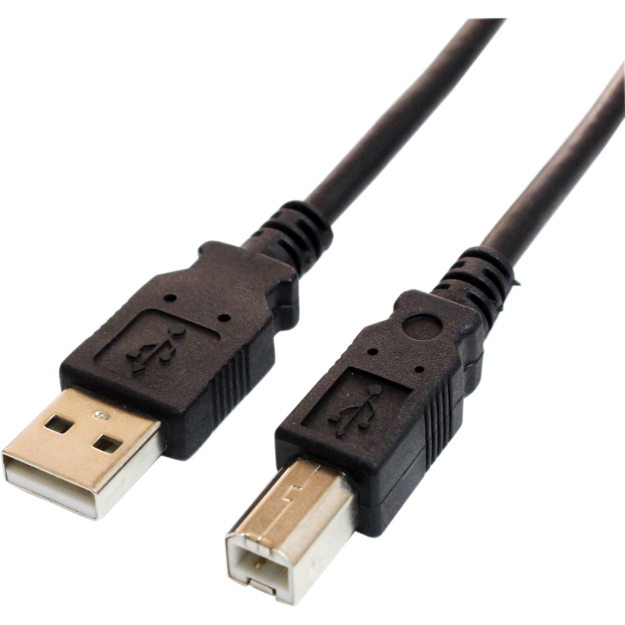 Tera Grand USB 2.0 Type-A to USB Type-B Male Cable (1', Black)